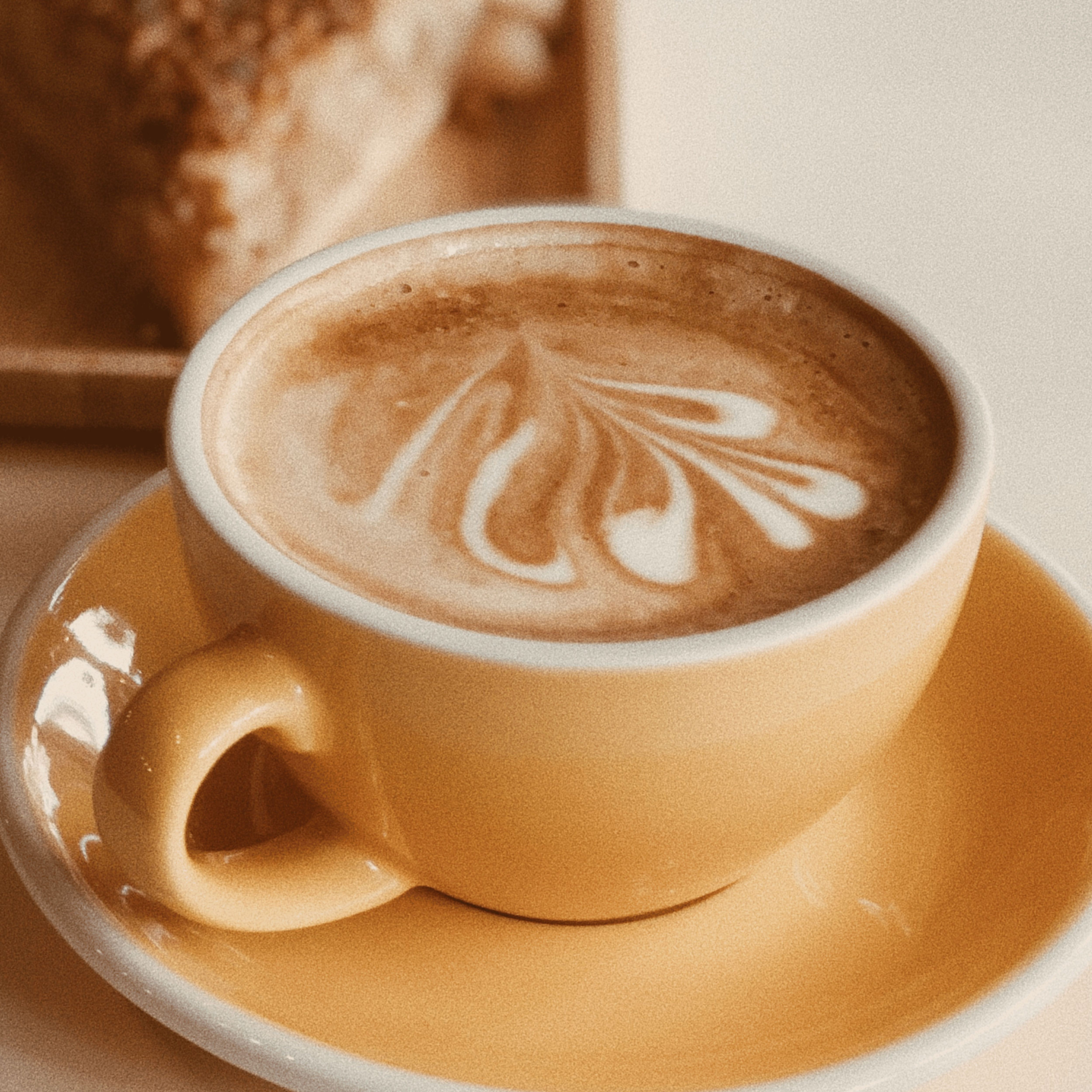 The Non-Coffee Shop Owner’s Guide to Serving Exceptional Coffee